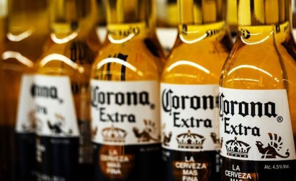 corona beer